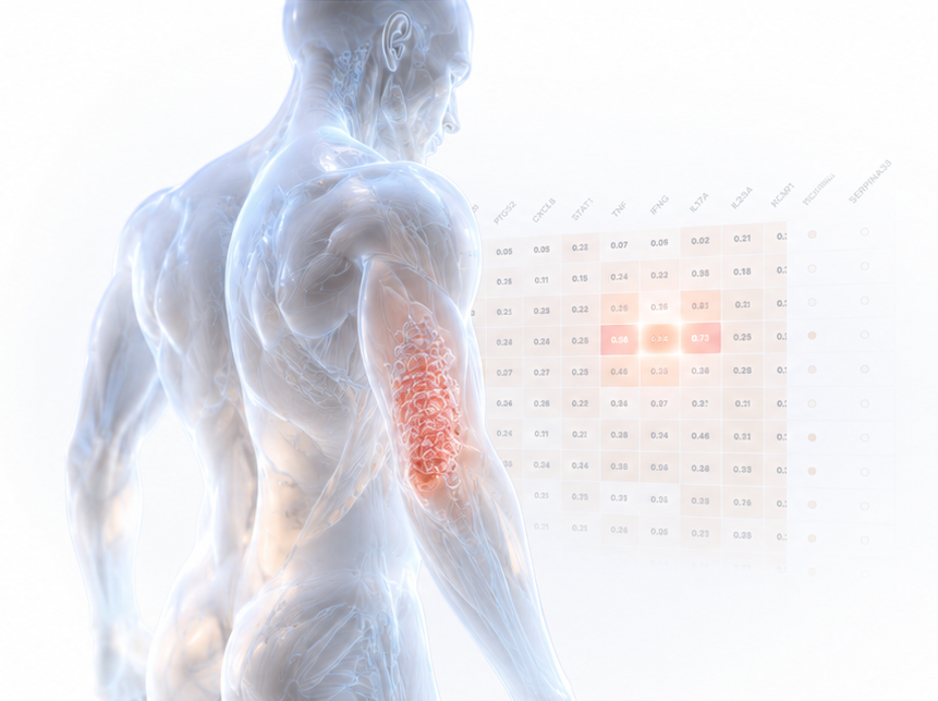 Human anatomy rendered over association scores